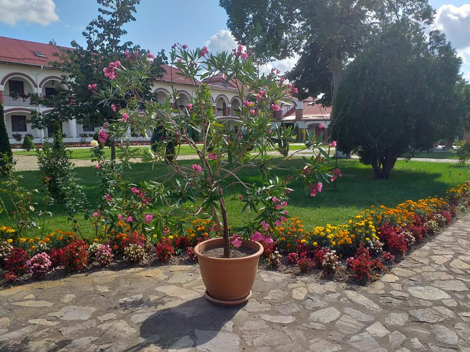 Manastirea Timiseni Sag (5)