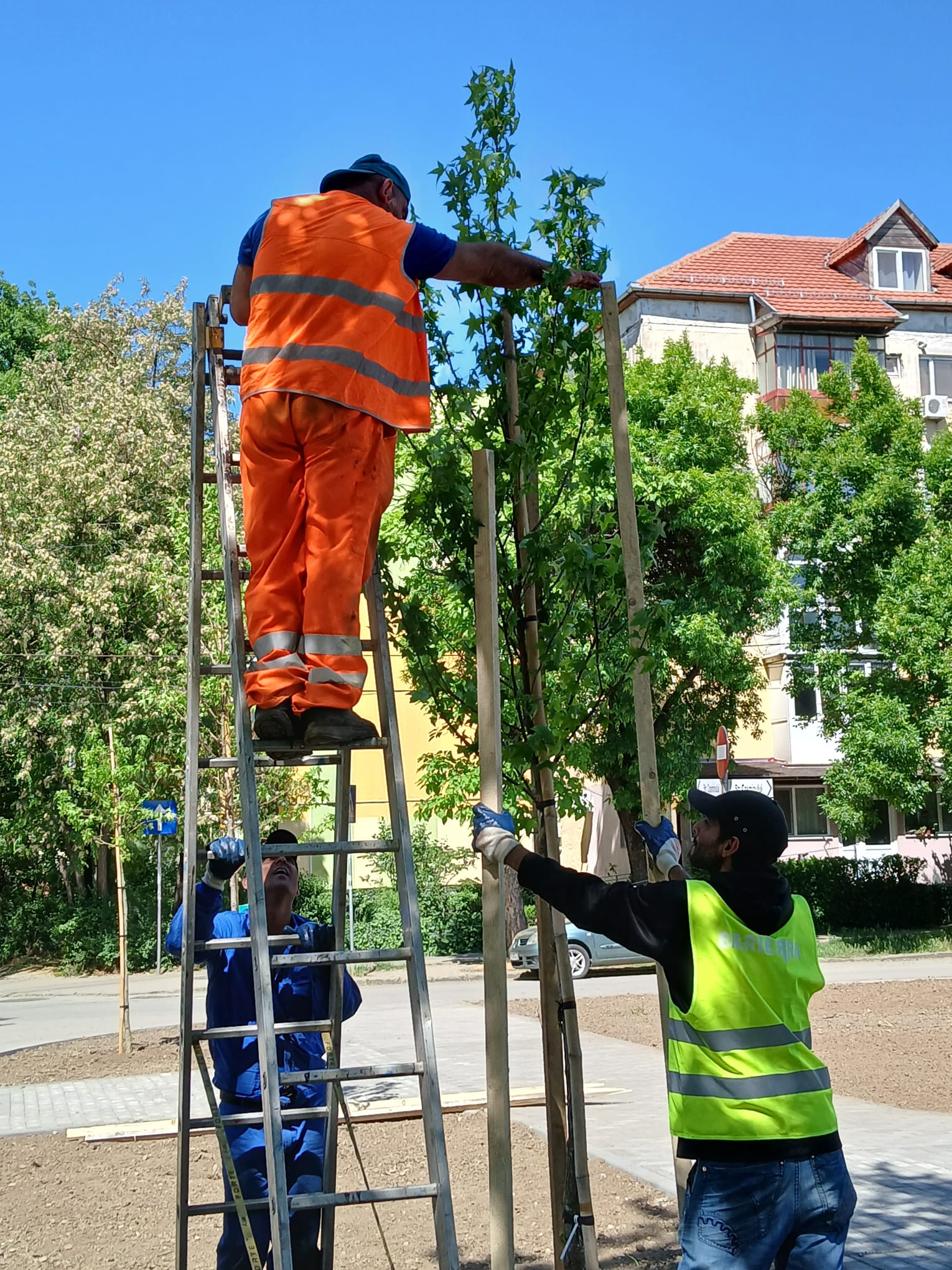 parcare girocului verde (3)