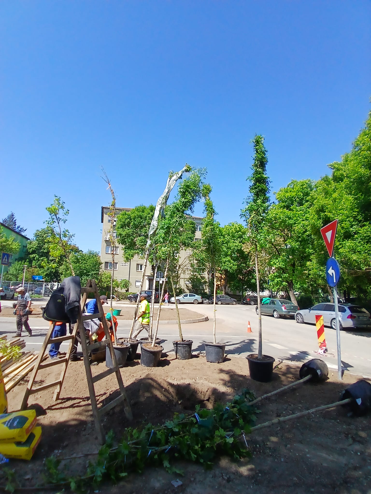 parcare girocului verde (1)