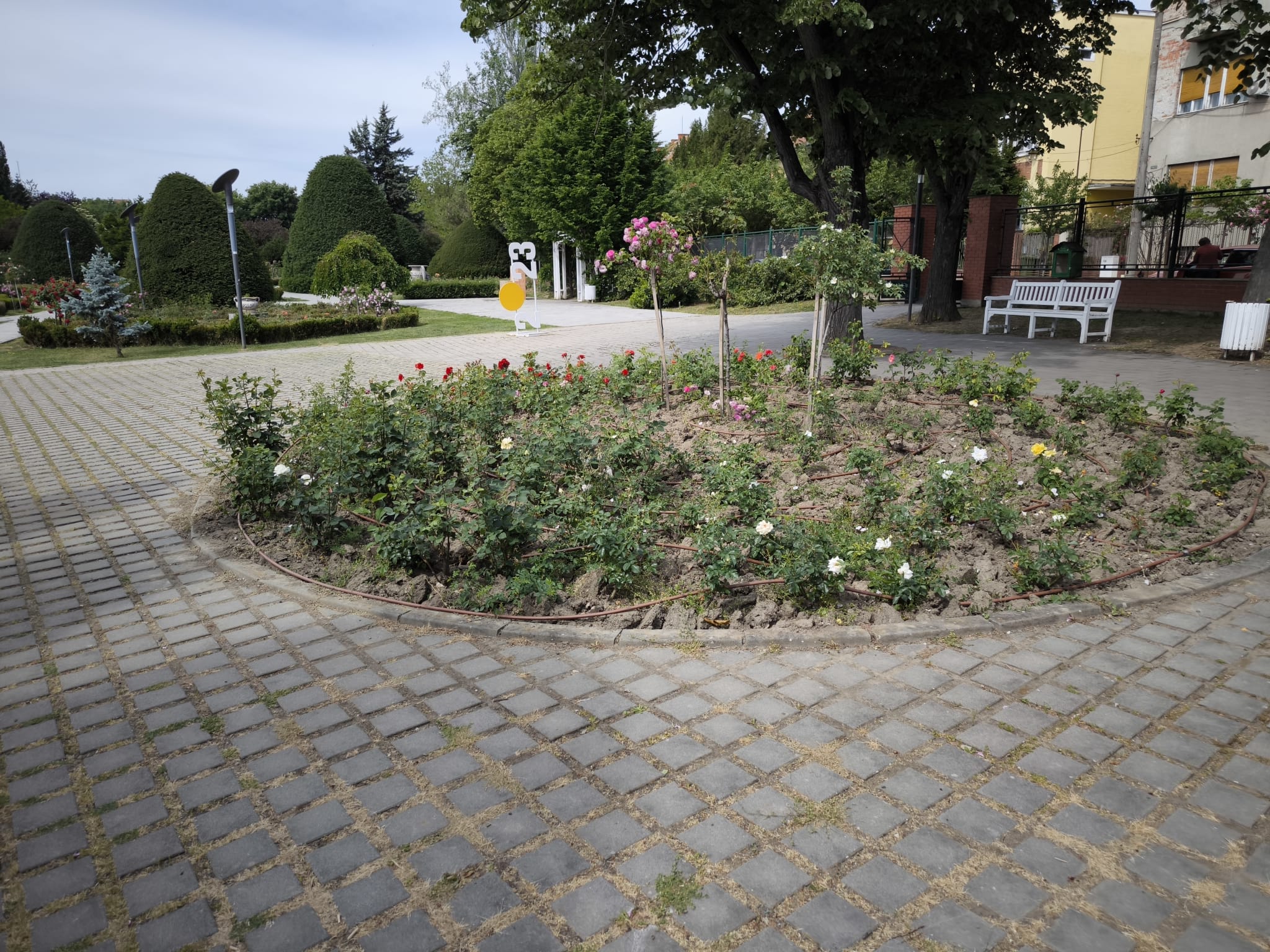 WhatsApp Image 2024-05-07 at 11.41.52 (2)