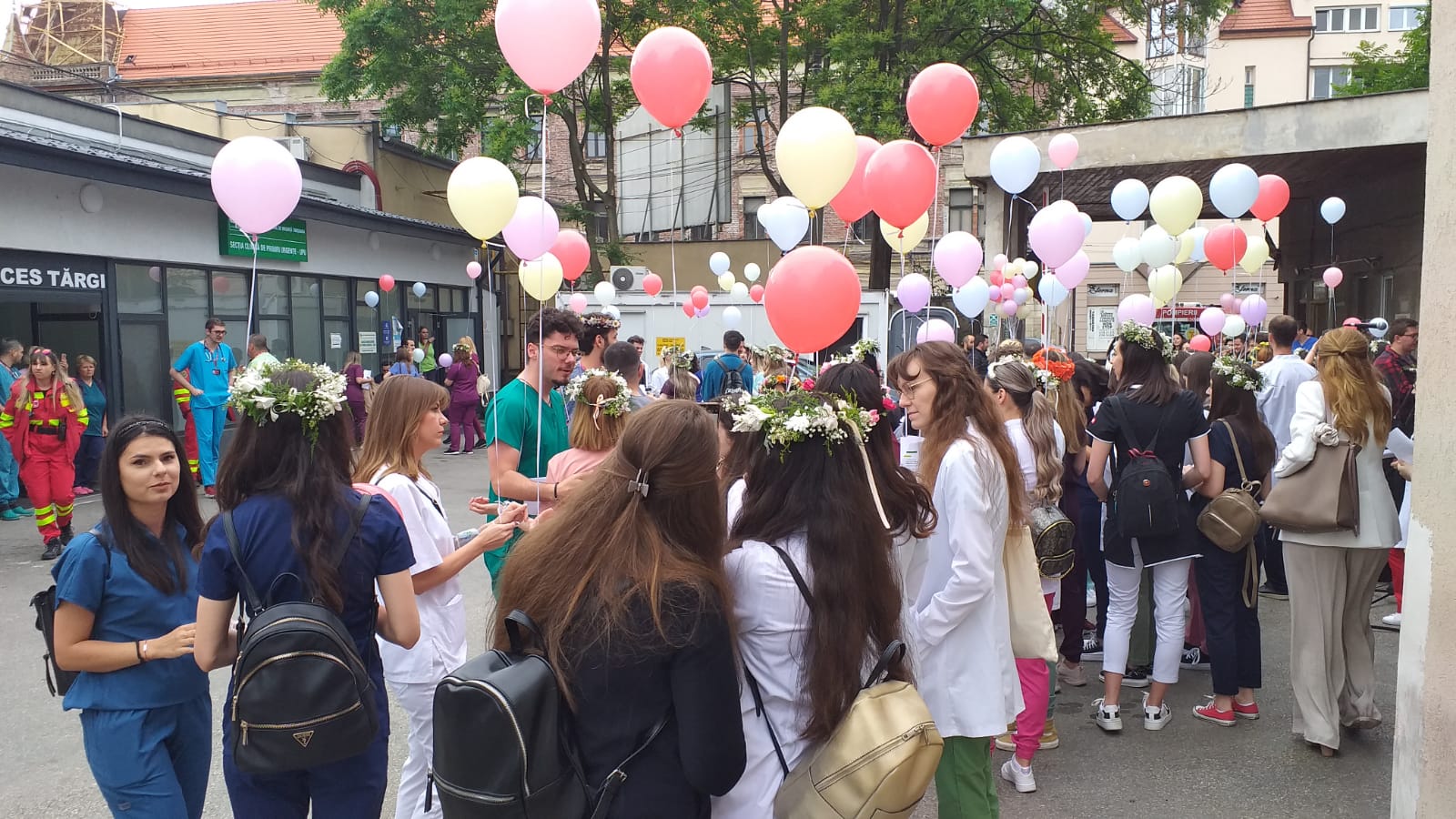serenade studentesti studenti medicina (12)