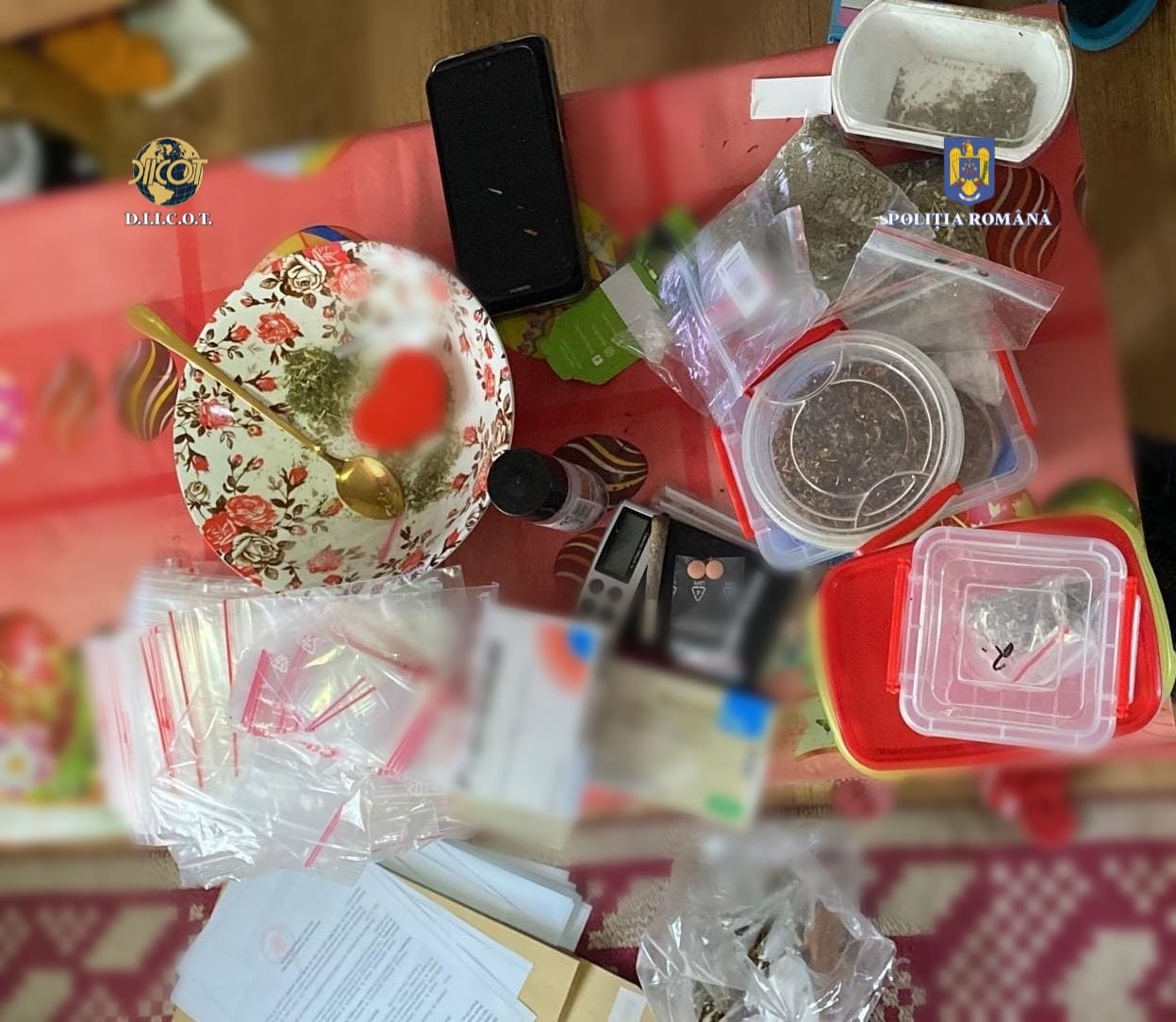 perchezitii droguri (1)