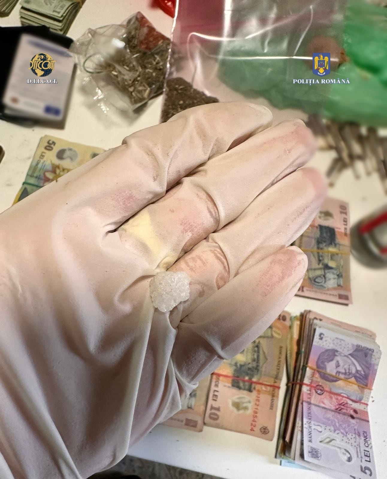 perchezitii droguri (2)