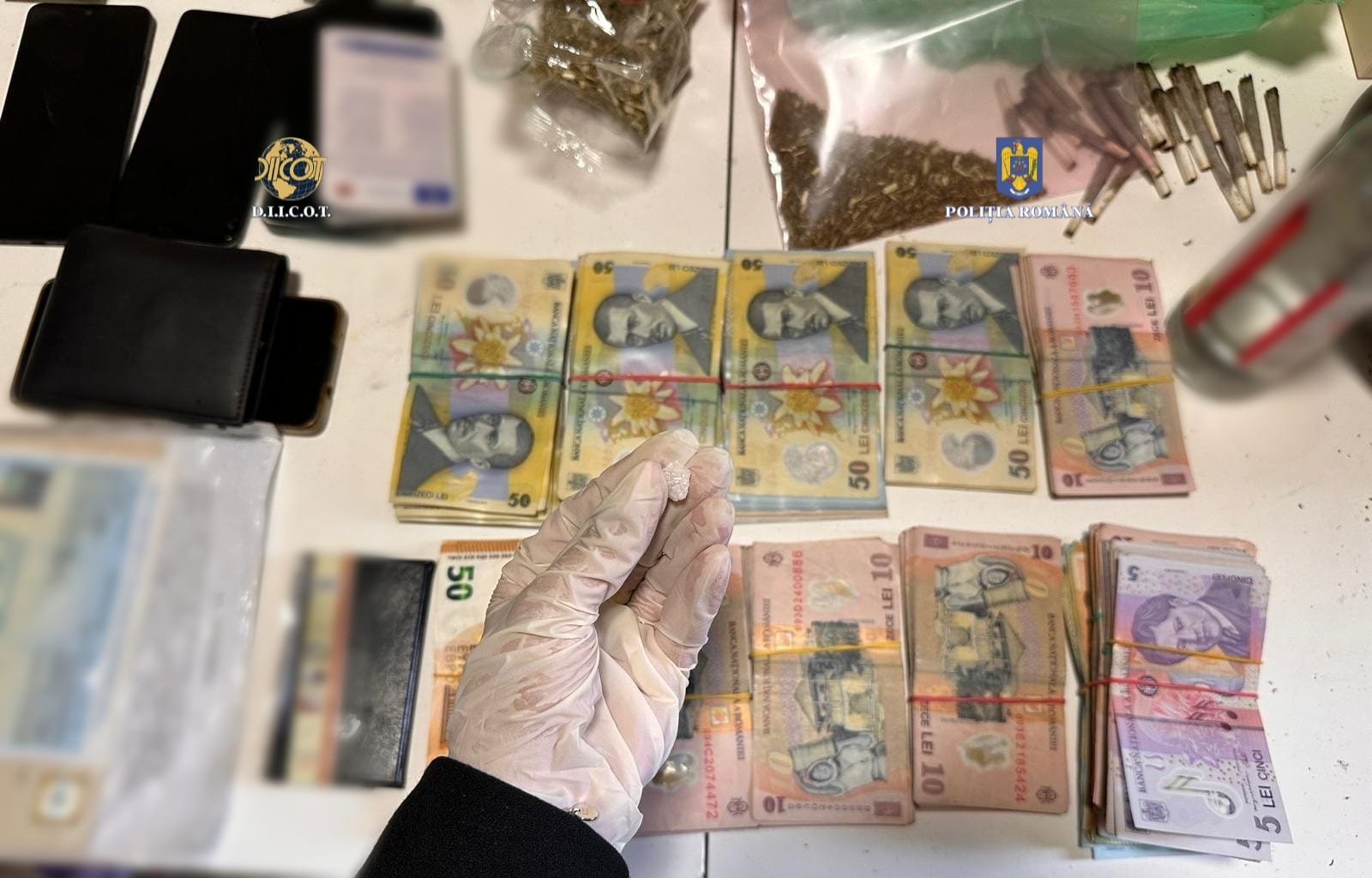 perchezitii droguri (4)