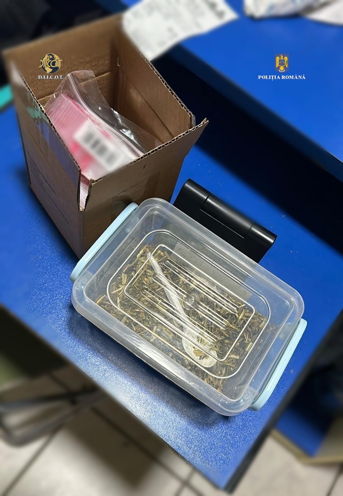 perchezitii droguri (5)