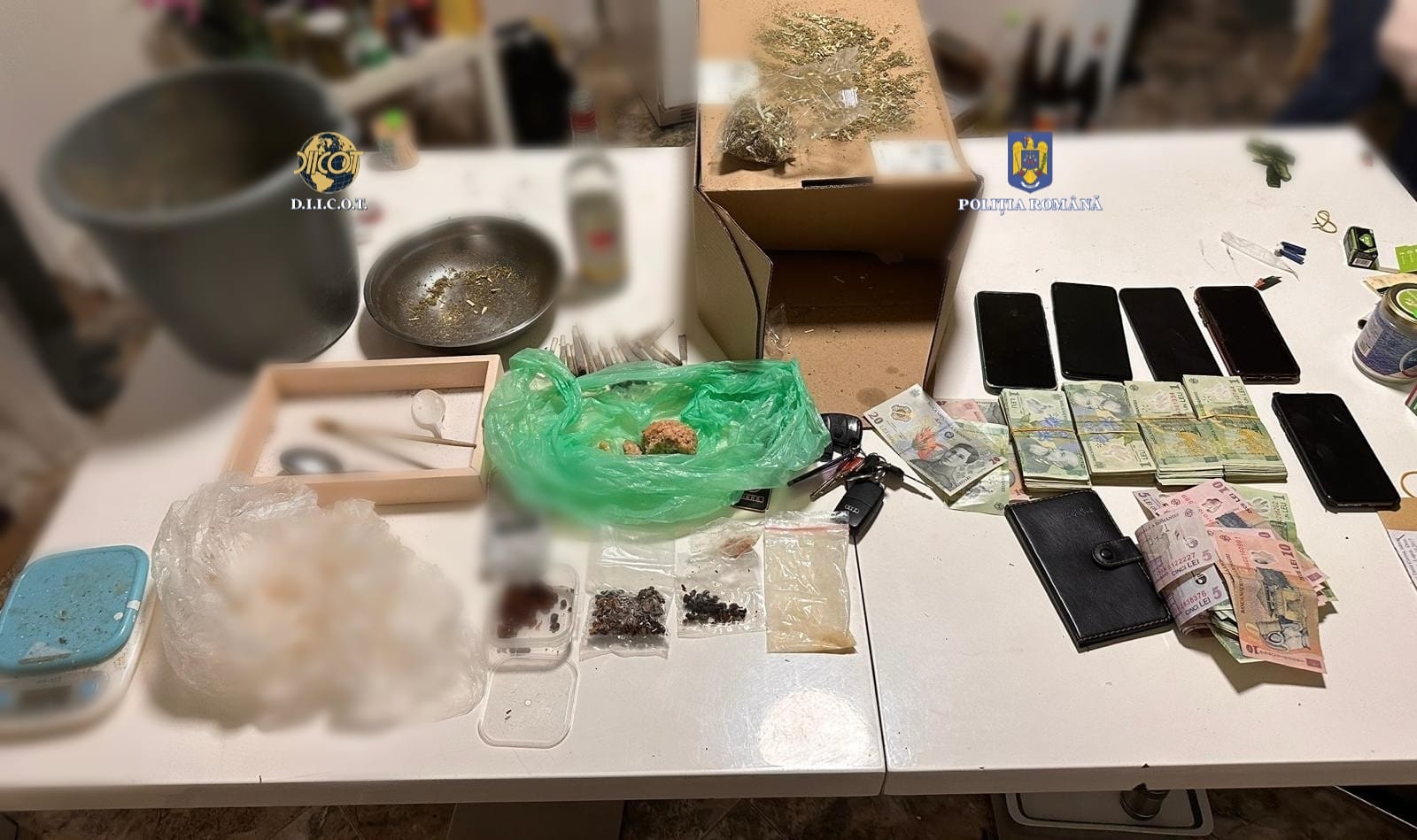 perchezitii droguri (6)