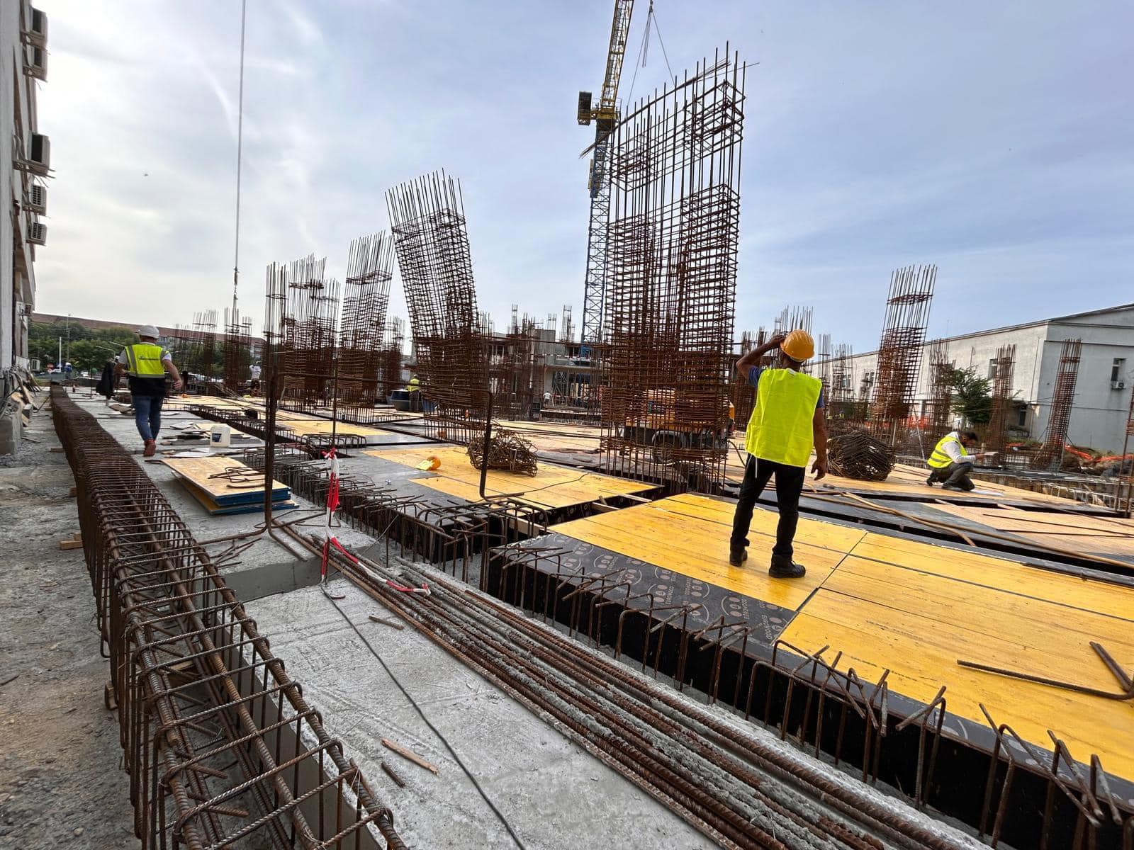 centru arsi grav 136