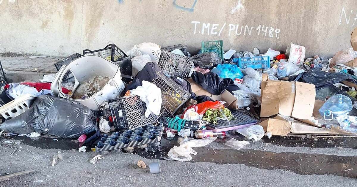 Deșeuri abandonate în Timișoara: Primăria cere implicare civică pentru soluționare. Deșeuri abandonate în Timișoara: Primăria cere implicare civică pentru soluționare.