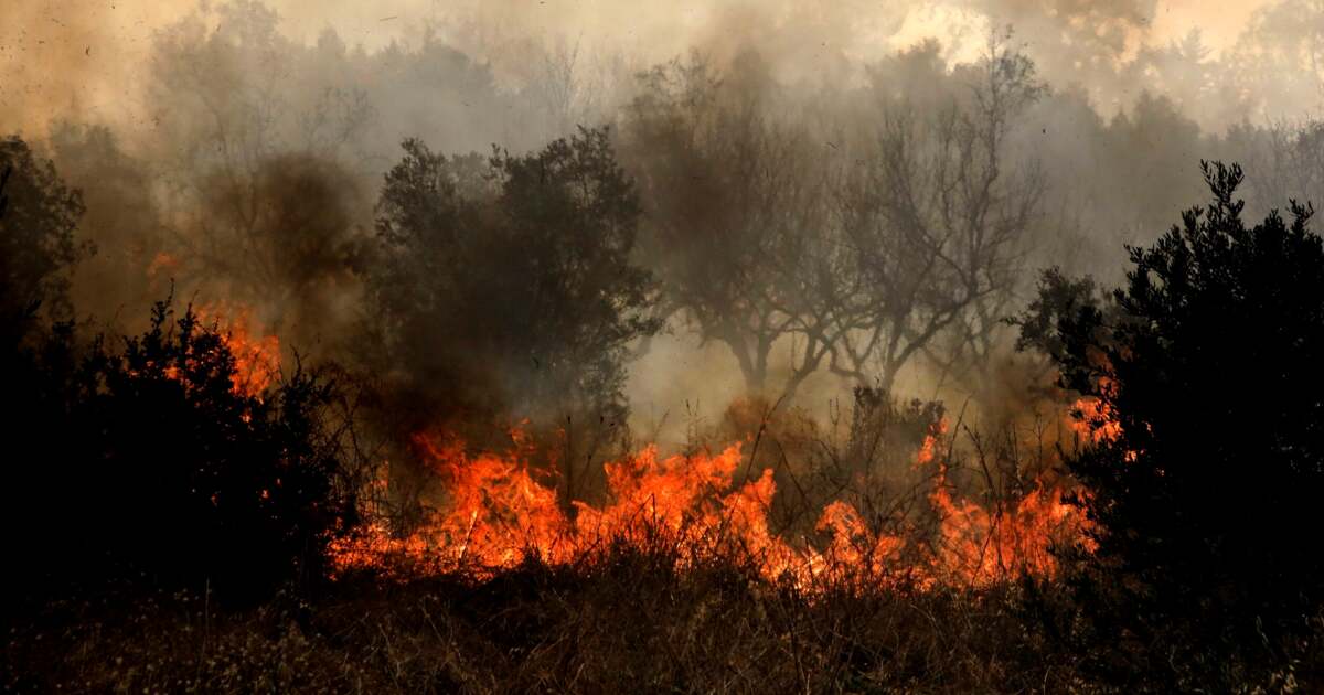 Foc mare la arbuști uscați în Timișoara, pe 15 ha Foc mare la arbuști uscați în Timișoara, pe 15 ha