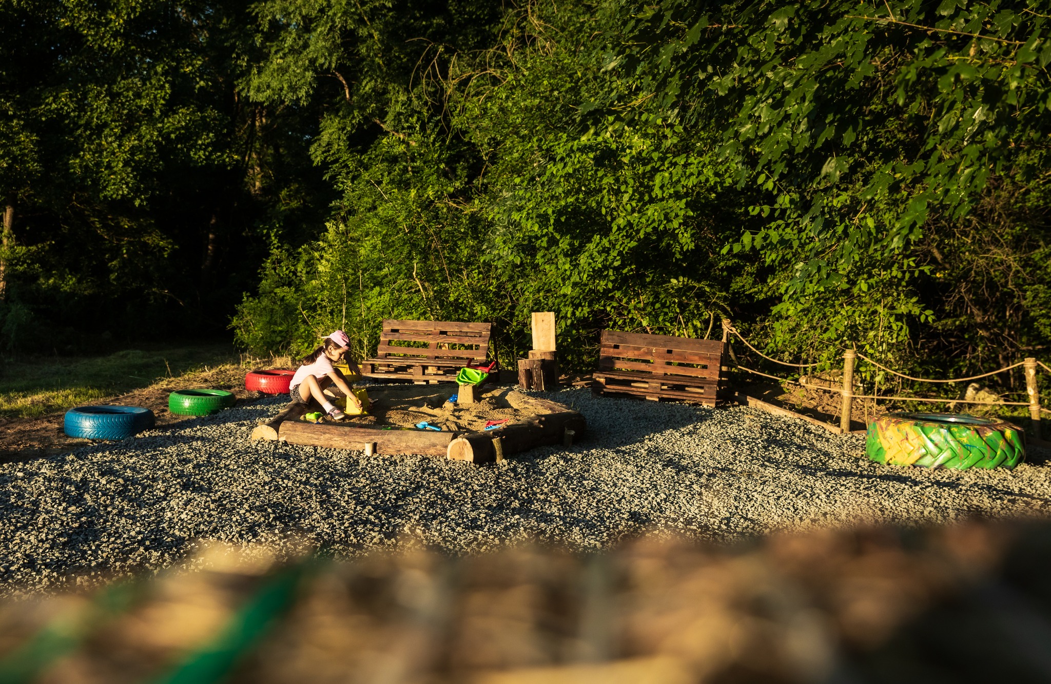 popas la padure Giroc (12)