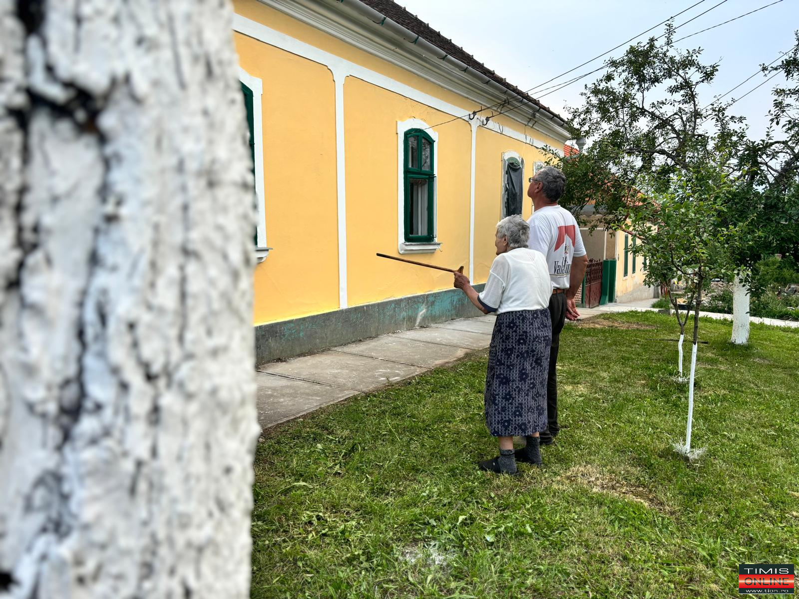 color the village altringen 2024 (60)