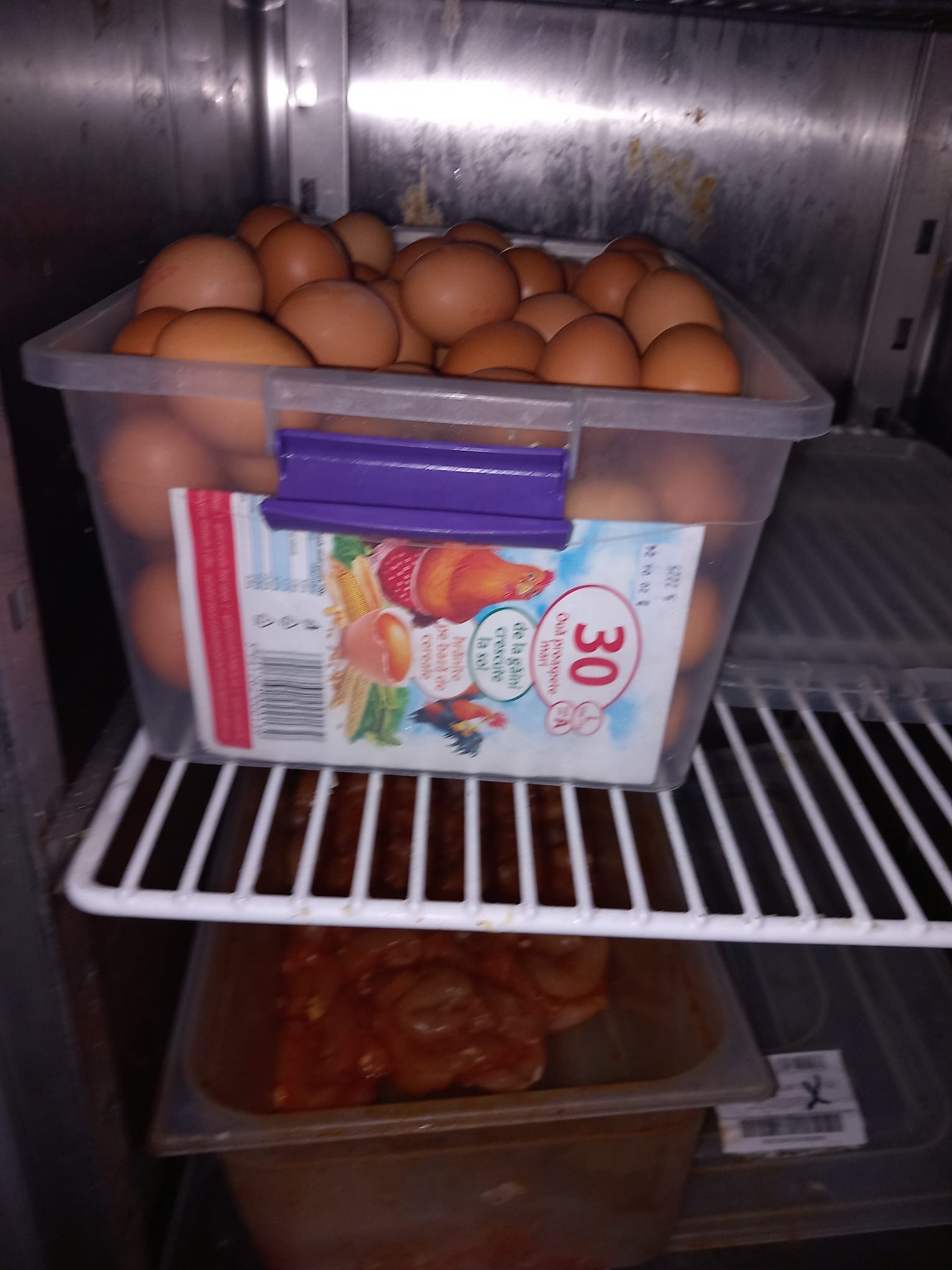 9b4c5a0b-7a1a-4409-b5d4-be4d1799cef7