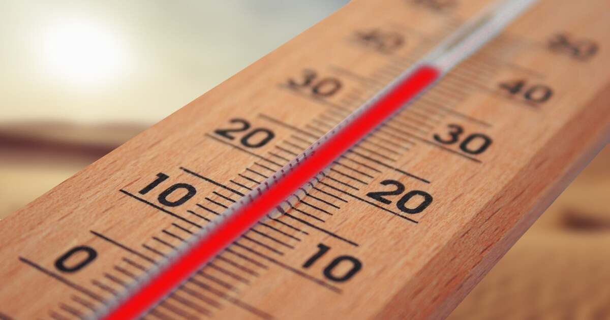 Alertă de caniculă în Timiș: temperaturi aproape de 40°C și noapte tropicală.