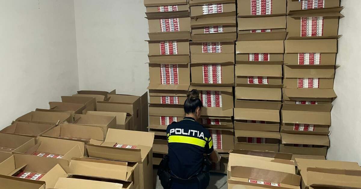 Percheziții la traficanții de țigări din Timiș. Două suspecți au fost arestați. Percheziții la traficanții de țigări din Timiș. Două suspecți au fost arestați.