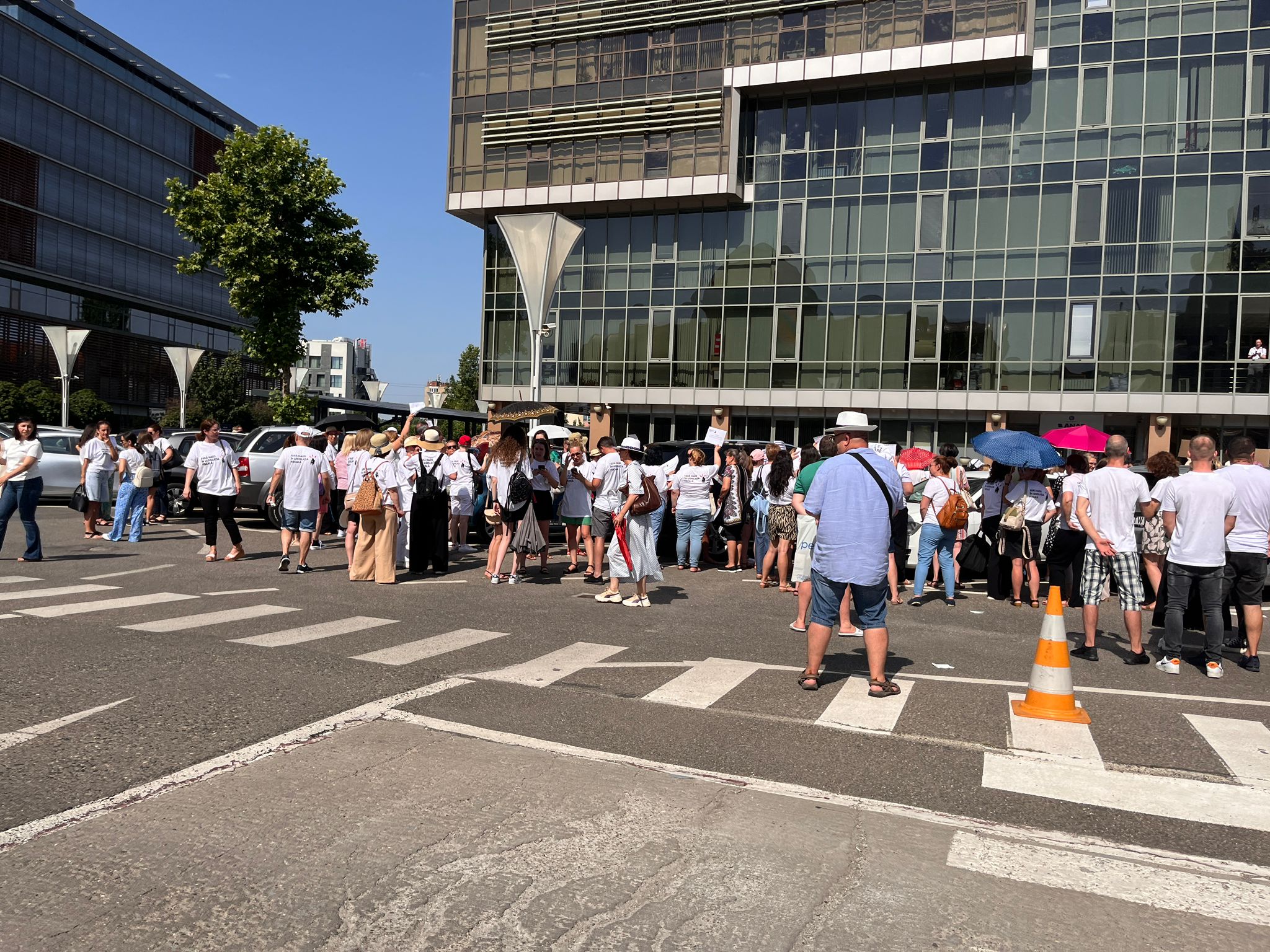 protest contabili anaf (4)