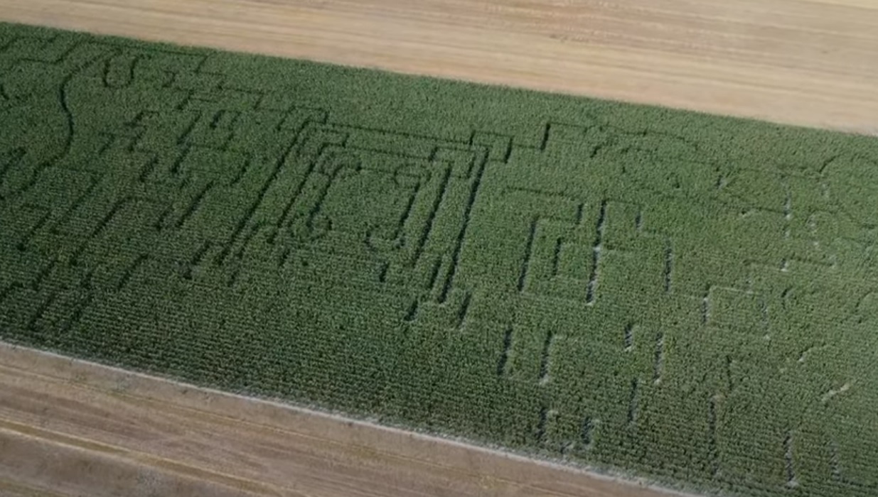 Labirint gigantic Kiszombor (4)