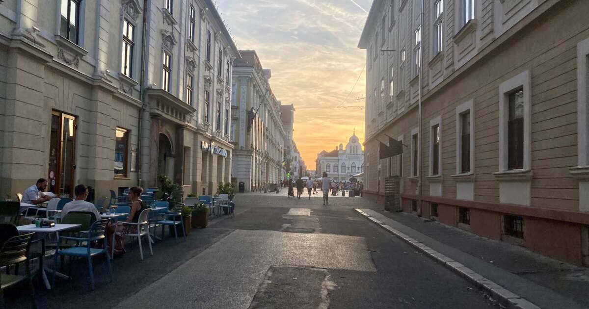 Activități de petrecere a timpului liber în Timișoara pe 14 septembrie 2024.