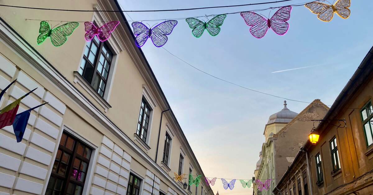 Evenimente în Timișoara în data de 11 septembrie 2024 Evenimente în Timișoara în data de 11 septembrie 2024