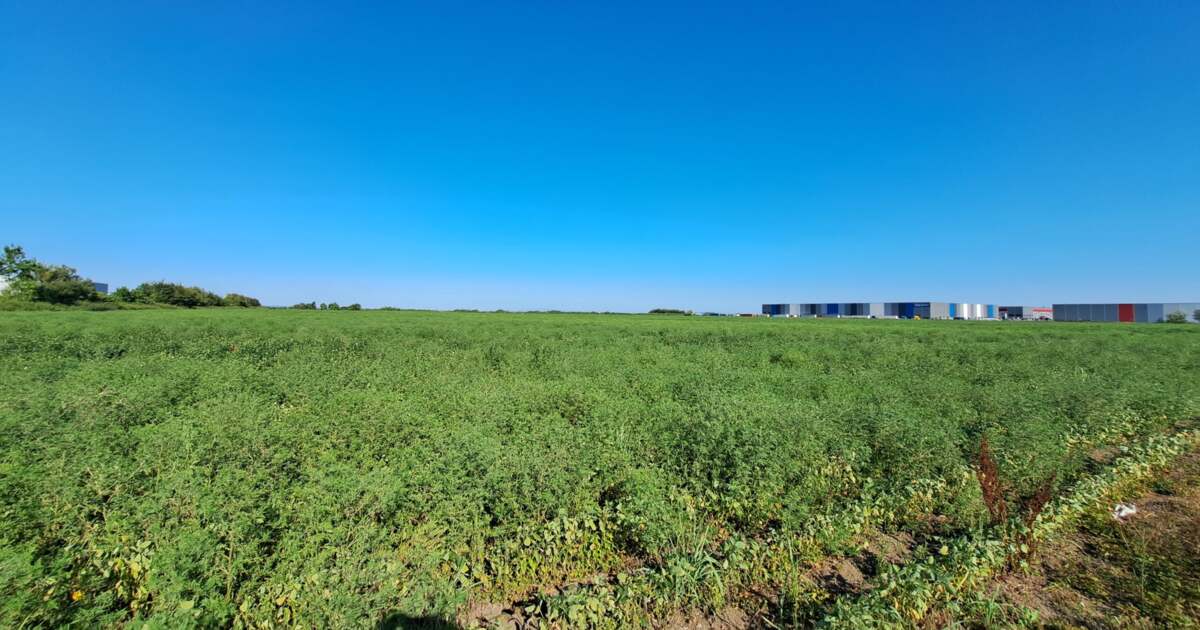 Politia Locala Moșnița Nouă solicită informații de la proprietarii terenurilor pentru controale