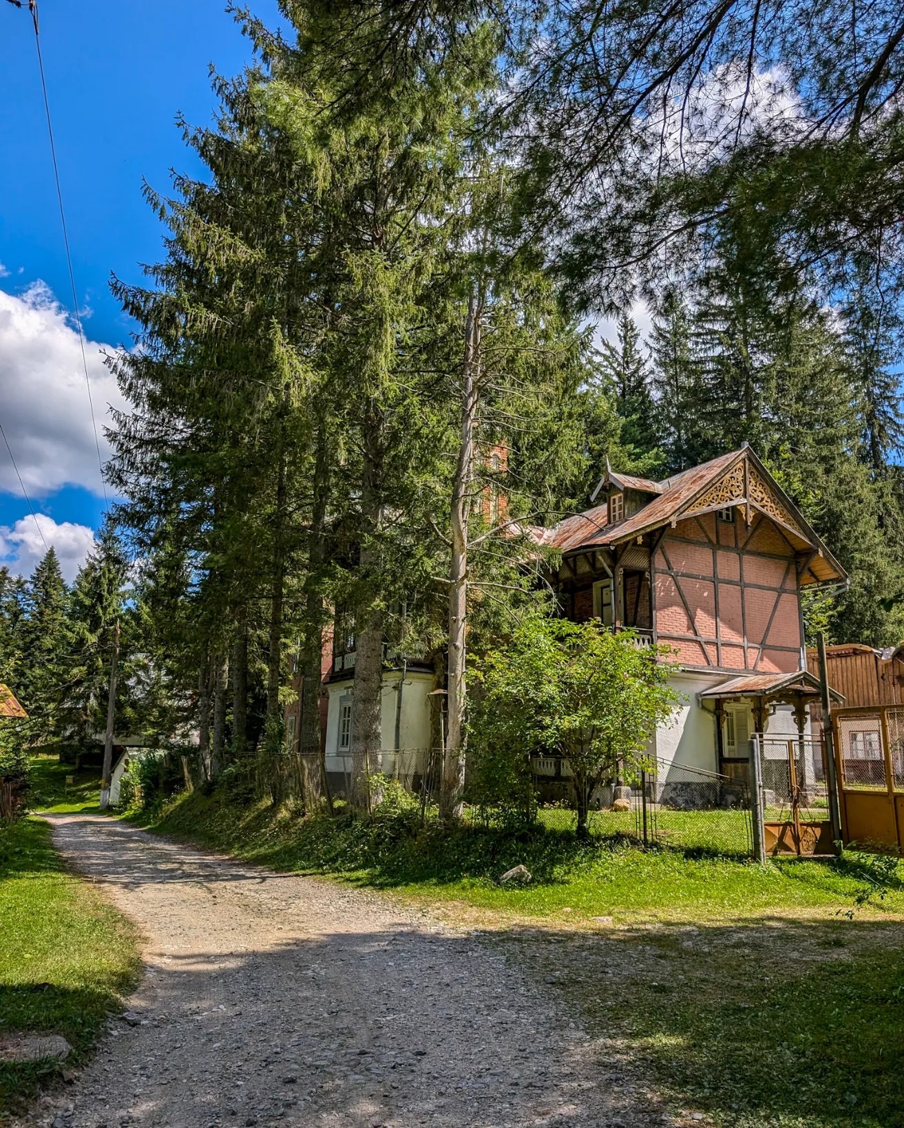 mountain bike văliug 3