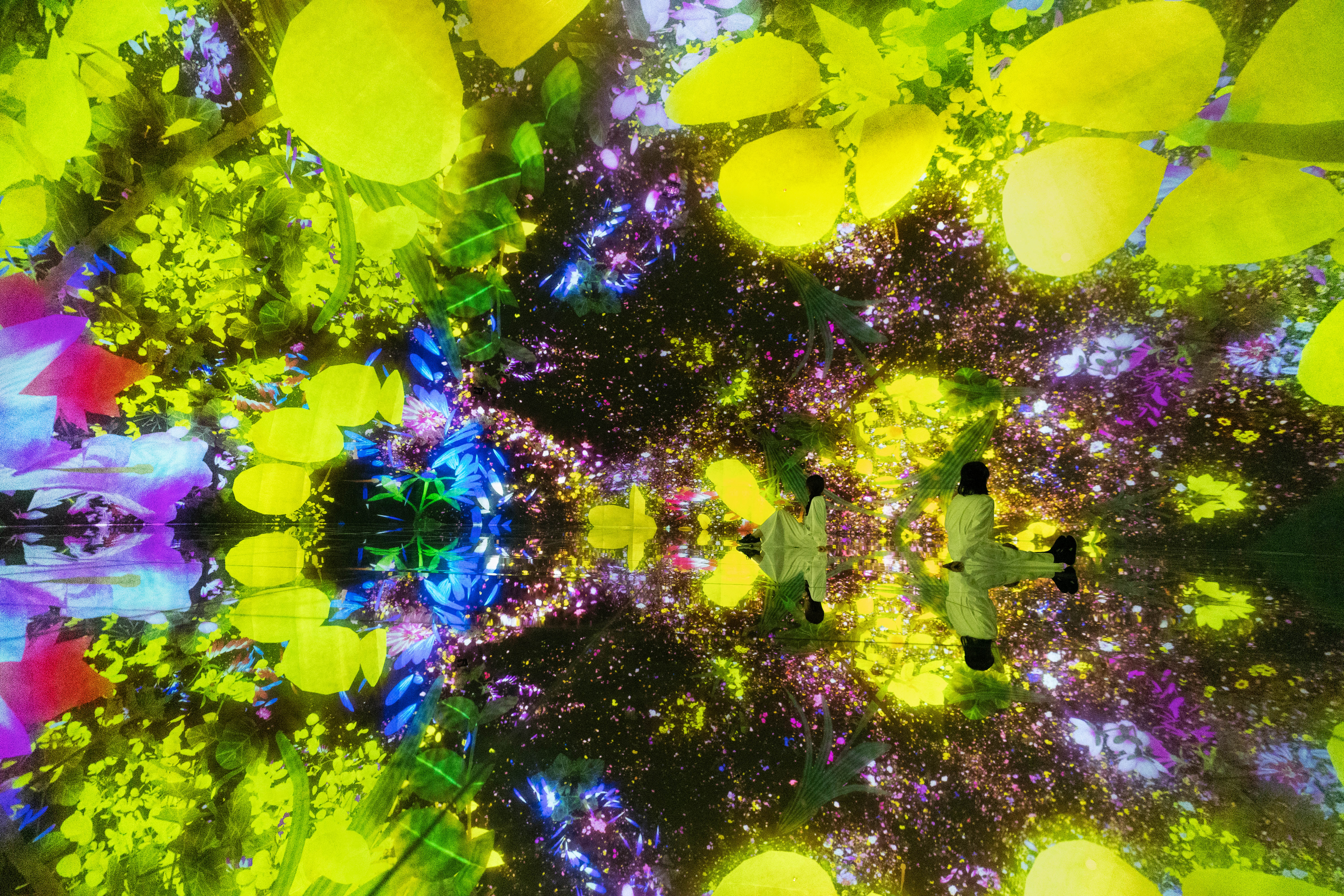 Floating in the Falling Universe of Flowers_Spring_beijing_05