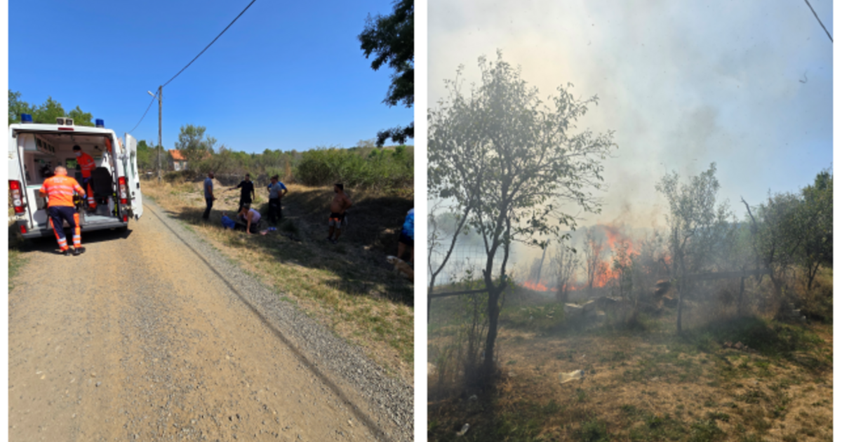 Fotografii de la incendiu de vegetație în Bogda. O persoană afectată. Fotografii de la incendiu de vegetație în Bogda. O persoană afectată.