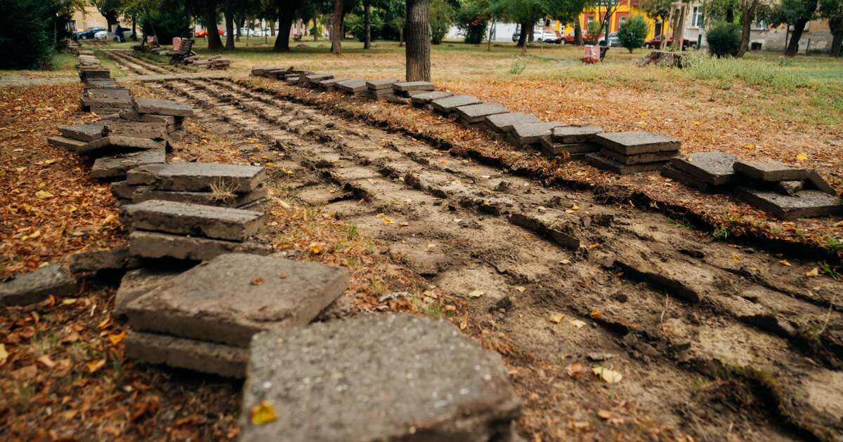 Schimbări și înverziri. Se lucrează în Parcul Piața Crucii din Timișoara. Schimbări și înverziri. Se lucrează în Parcul Piața Crucii din Timișoara.
