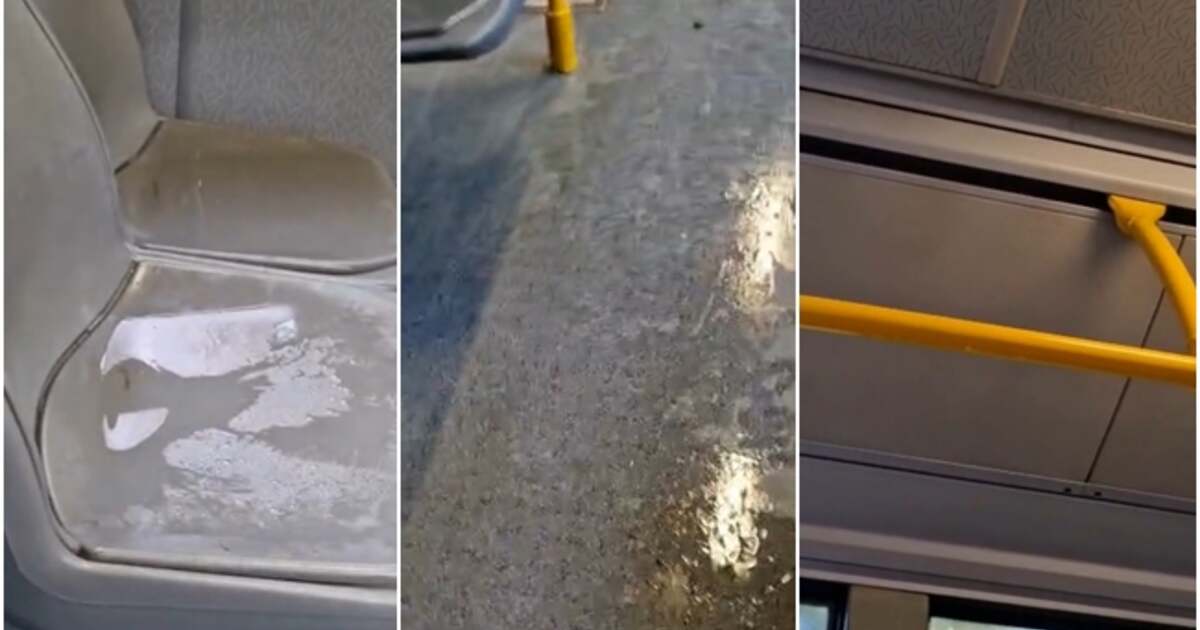 Ploaie în Timișoara și în mijlocul străzii, autobuzele împlântate. Ploaie în Timișoara și în mijlocul străzii, autobuzele împlântate.