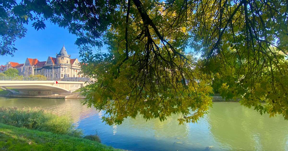 Activitati disponibile în Timișoara în data de 20 octombrie 2024 Activitati disponibile în Timișoara în data de 20 octombrie 2024