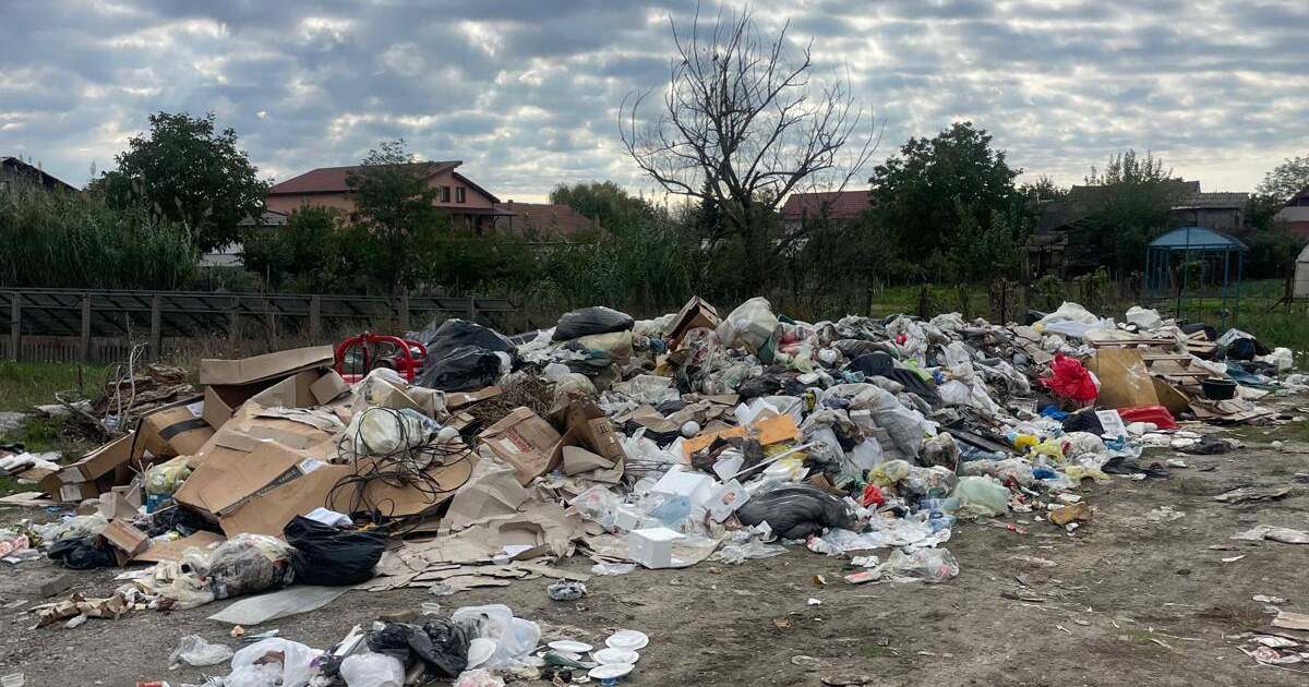 Primăria Săcălaz, plină de gunoaie: scandal între prefect și primar Primăria Săcălaz, plină de gunoaie: scandal între prefect și primar