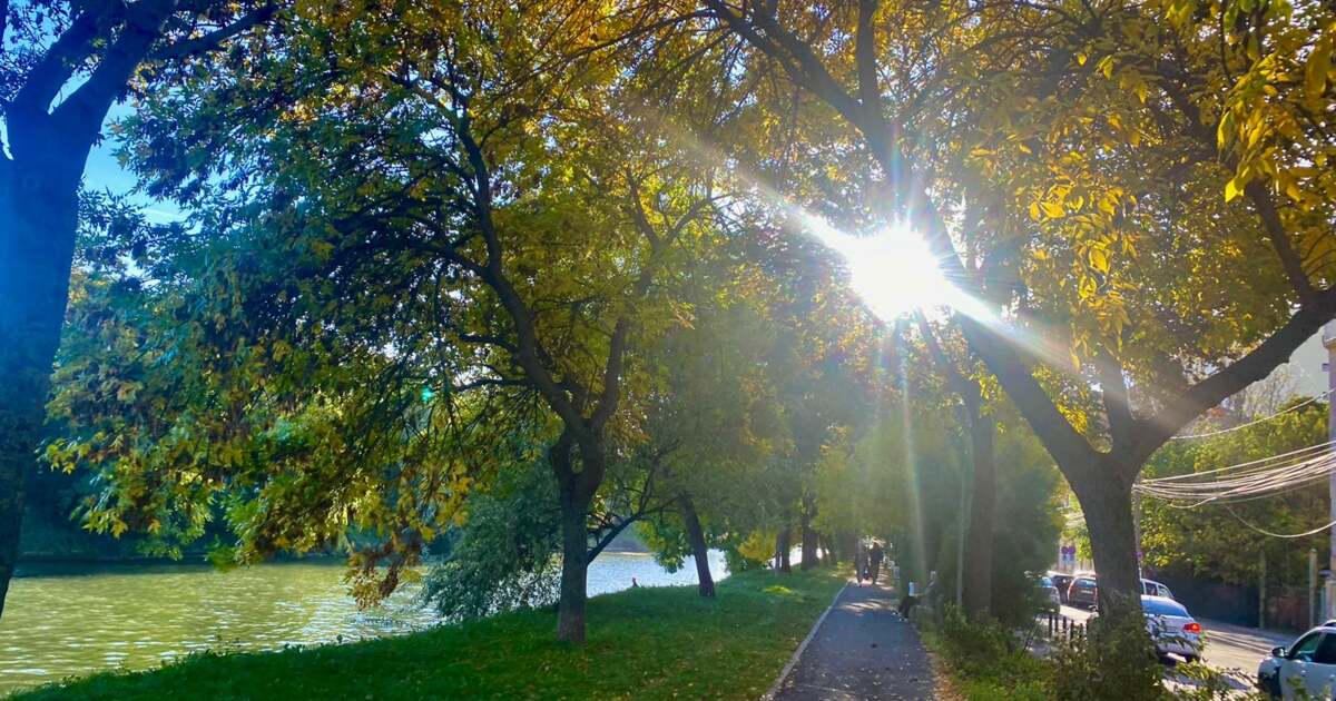 Evenimente din Timișoara pe 19 octombrie 2024, ce planuri? Evenimente din Timișoara pe 19 octombrie 2024, ce planuri?