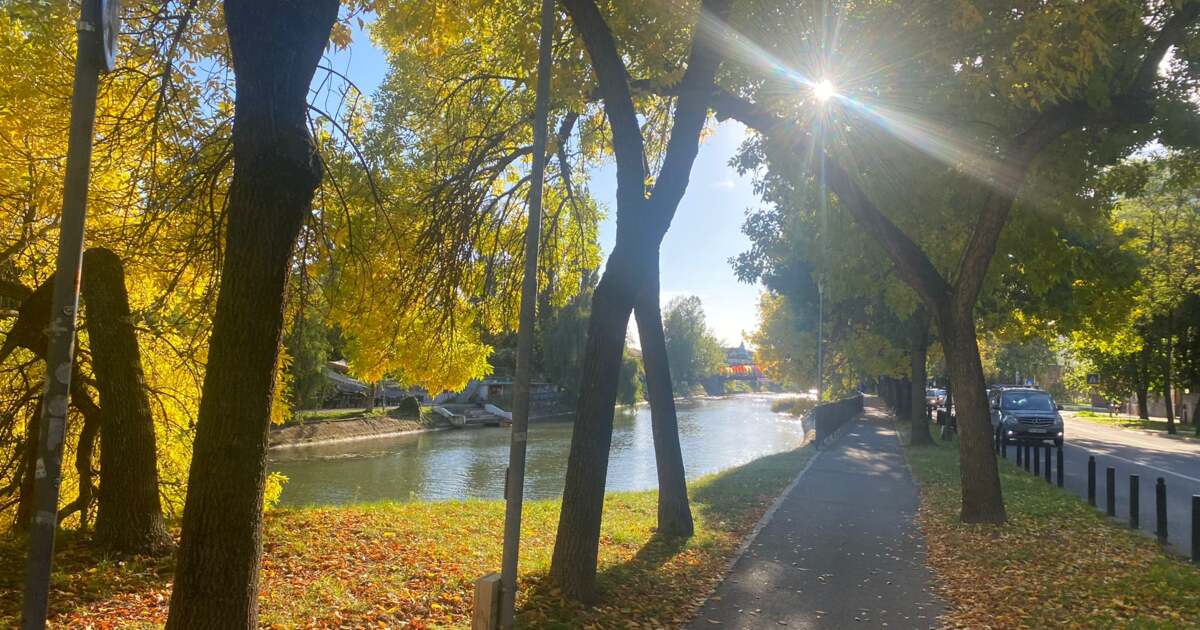 Activitati din Timisoara in data de 15 octombrie 2024. Activitati din Timisoara in data de 15 octombrie 2024.