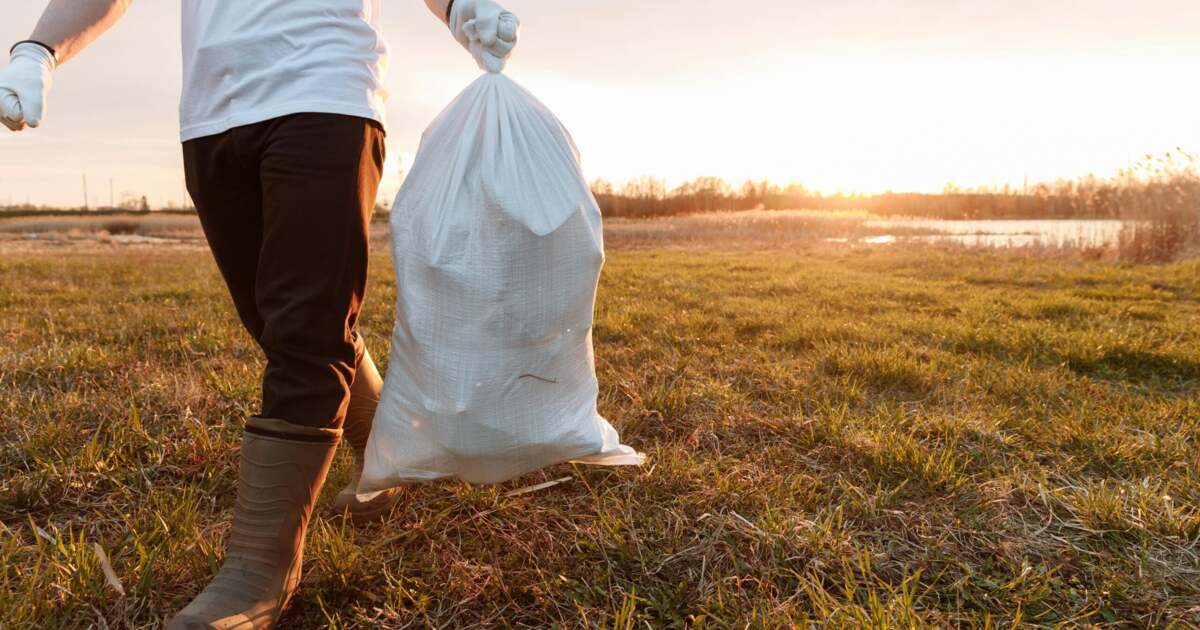 Se cauta persoane care doresc sa ajute la ecologizarea Timișoarei. Se cauta persoane care doresc sa ajute la ecologizarea Timișoarei.