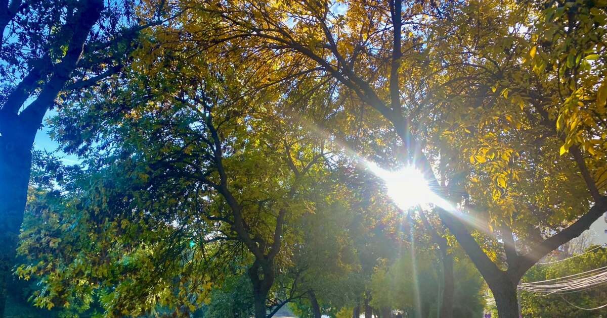 Ce activități ne așteaptă astăzi, 27 octombrie 2025, în Timișoara?