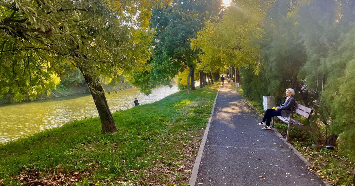 Evenimente de la Timișoara pe data de 17 octombrie 2024. Evenimente de la Timișoara pe data de 17 octombrie 2024.