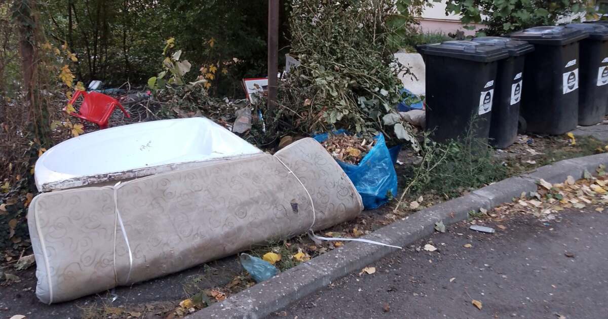 Un centru temporar de colectare, condus de Liviu Rebreanu, monitorizat de Poliția Locală Timișoara.