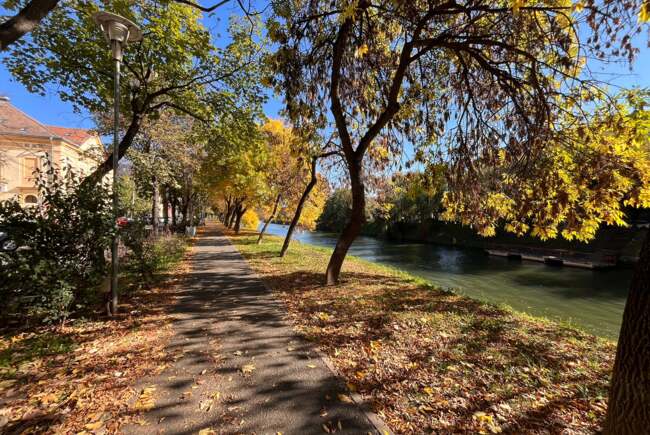 Ce facem ast&#259;zi, 24 noiembrie 2025, &icirc;n Timi&#537;oara?