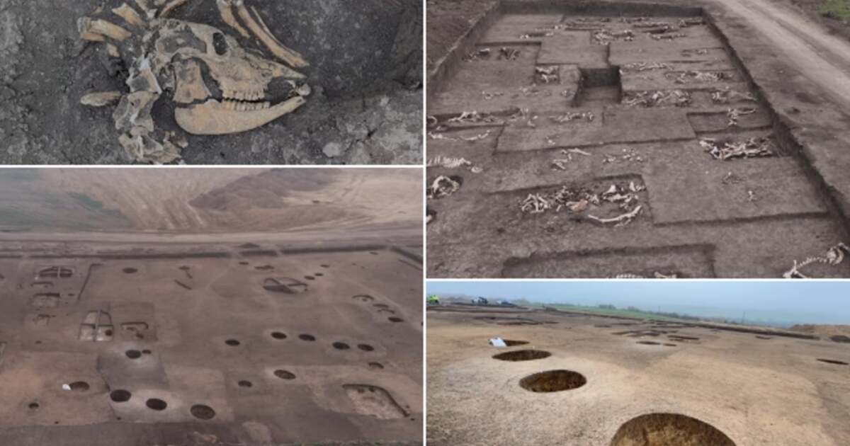 Descoperiri uimitoare lângă Timișoara: locuințe din lut și un cimitir sarmatic, în imagini VIDEO. Descoperiri uimitoare lângă Timișoara: locuințe din lut și un cimitir sarmatic, în imagini VIDEO.