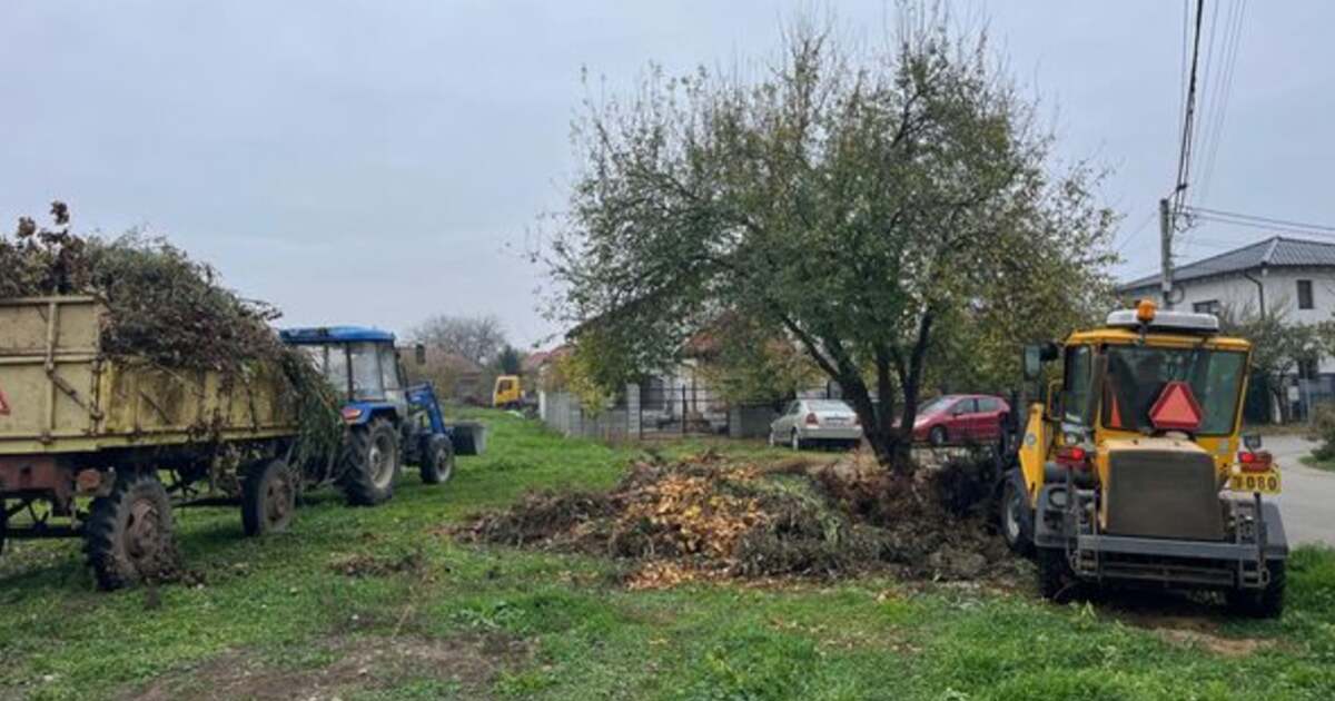 Încep lucrările de curățenie de toamnă în Moșnița Nouă! Încep lucrările de curățenie de toamnă în Moșnița Nouă!