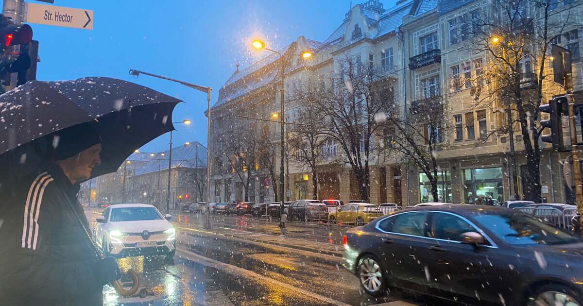 Ce activități interesante ne așteaptă pe 23 noiembrie 2024, în Timișoara? Ce activități interesante ne așteaptă pe 23 noiembrie 2024, în Timișoara?