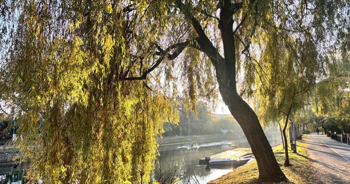 Ce evenimente interesante ne așteaptă astăzi, 26 octombrie 2025, în Timișoara?