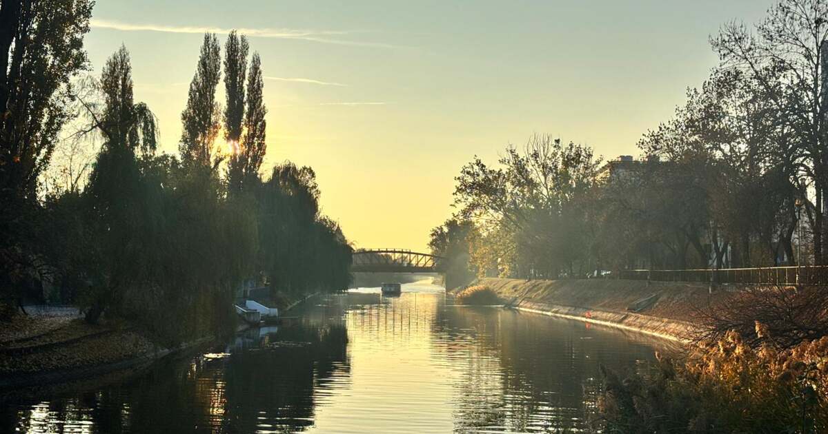 Ce evenimente interesante ne așteaptă astăzi, 26 septembrie 2025, în Timișoara? Ce evenimente interesante ne așteaptă astăzi, 26 septembrie 2025, în Timișoara?