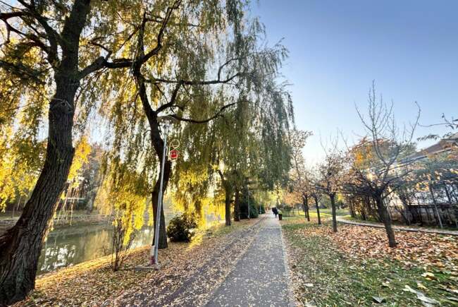 Ce facem ast&#259;zi, 21 noiembrie 2025, &icirc;n Timi&#537;oara?