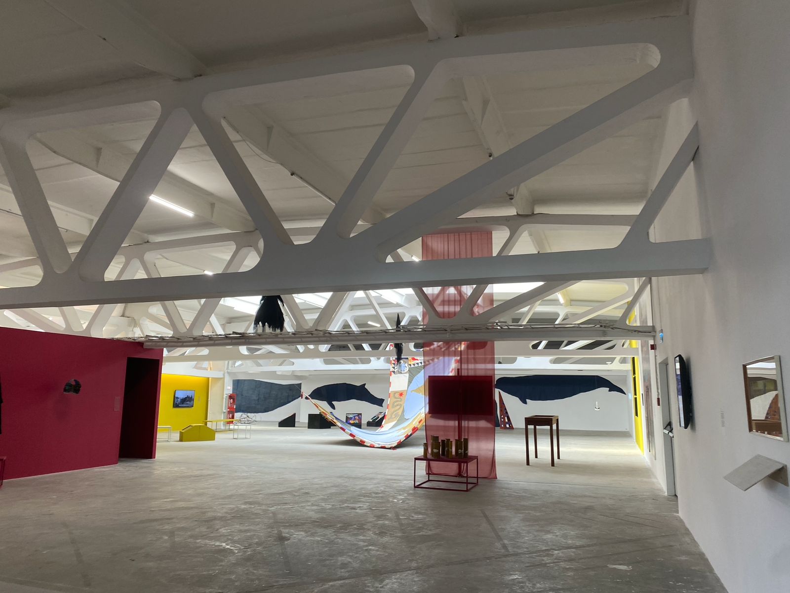 expozitie „Țara de foc” (12)