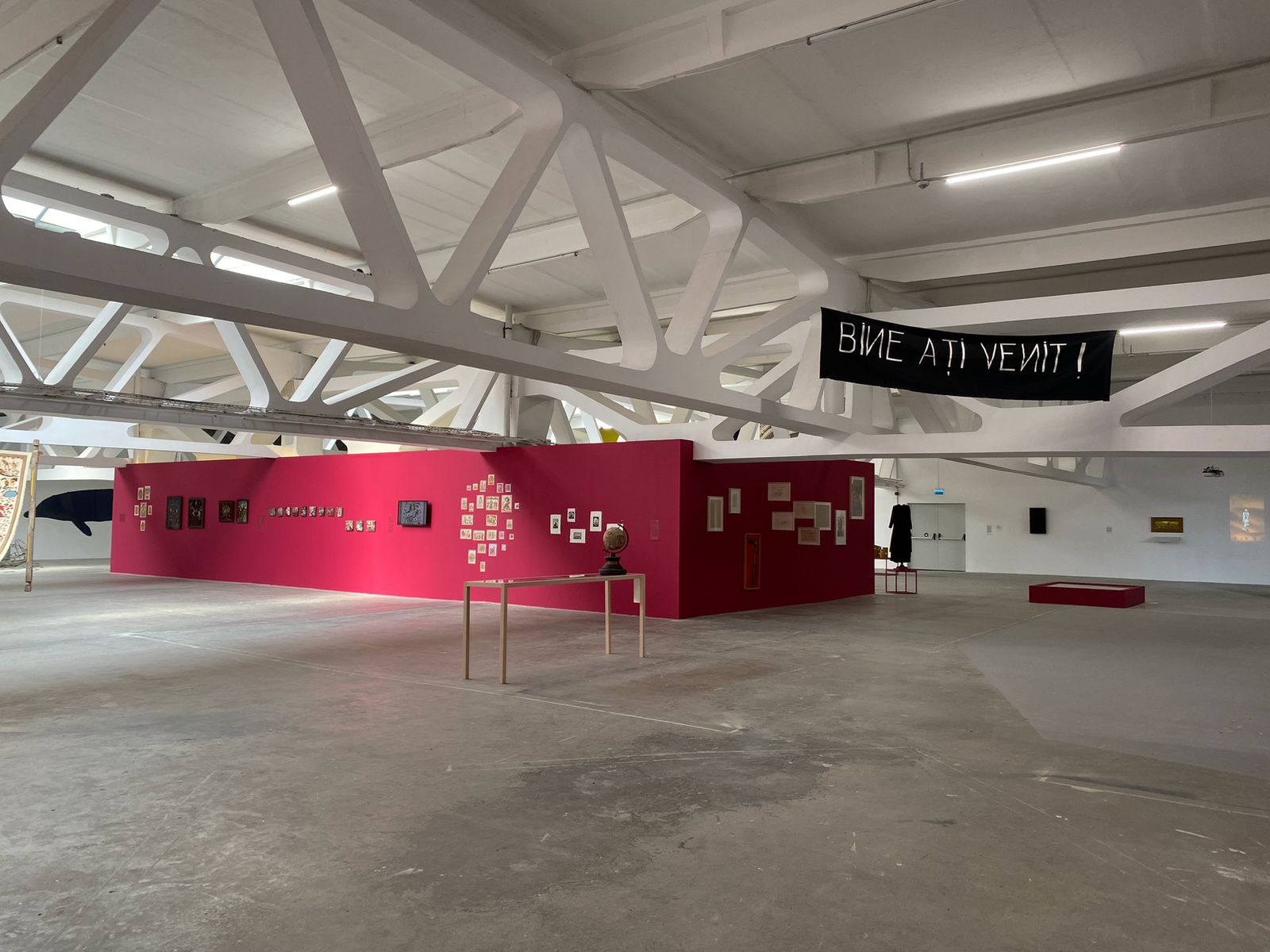 expozitie „Țara de foc” (16)