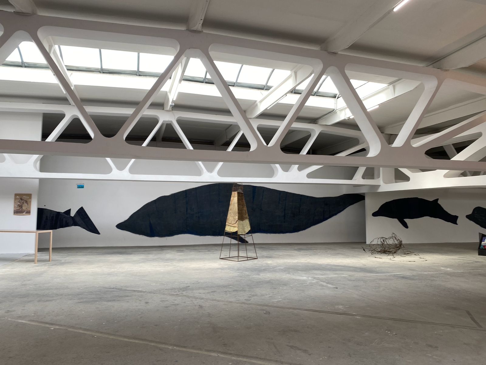 expozitie „Țara de foc” (23)