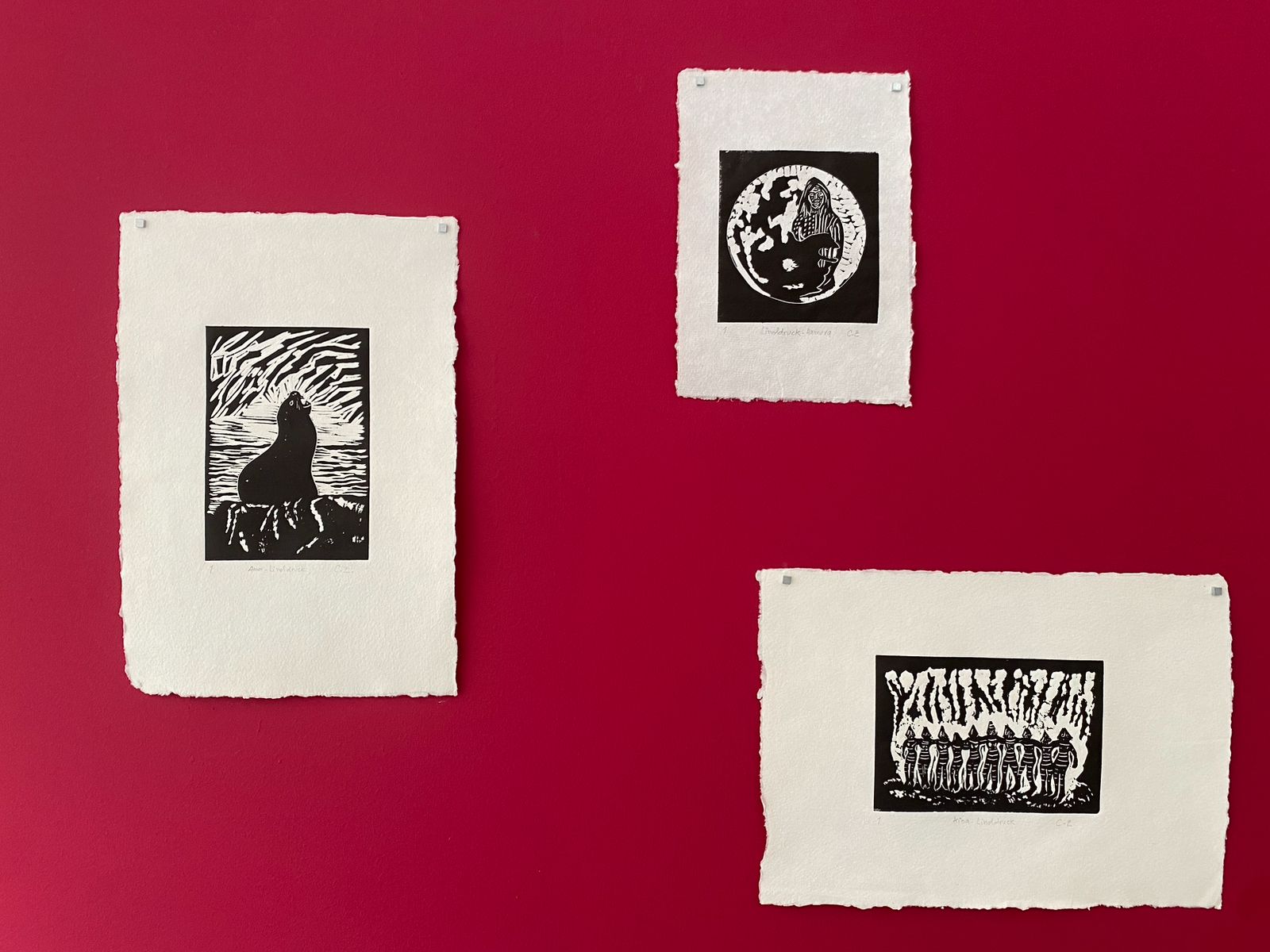 expozitie „Țara de foc” (26)