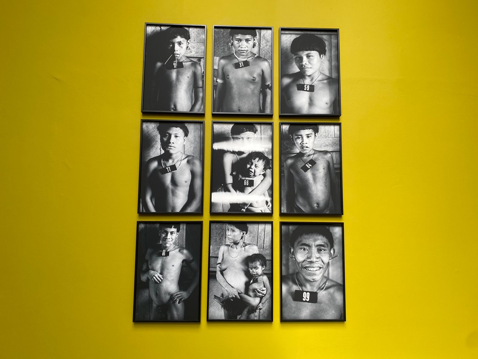 expozitie „Țara de foc” (38)