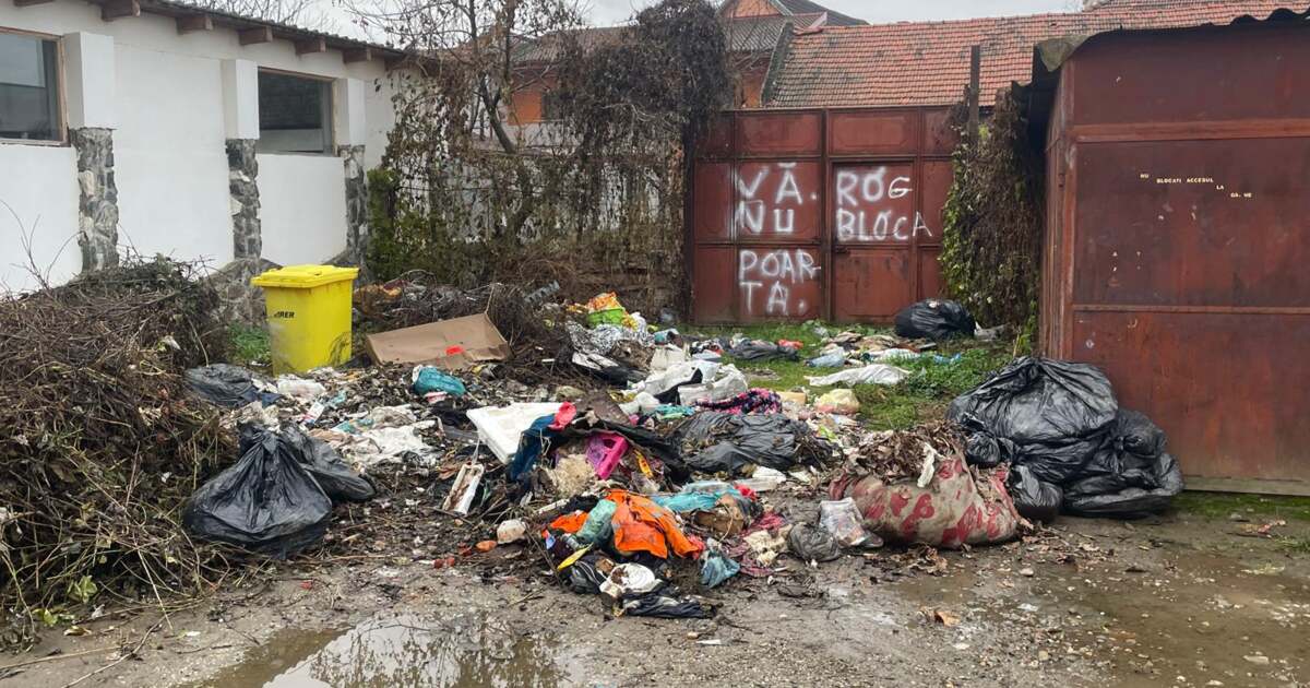 Primarul din Lugoj condamnă transformarea orașului în groapă clandestină Primarul din Lugoj condamnă transformarea orașului în groapă clandestină