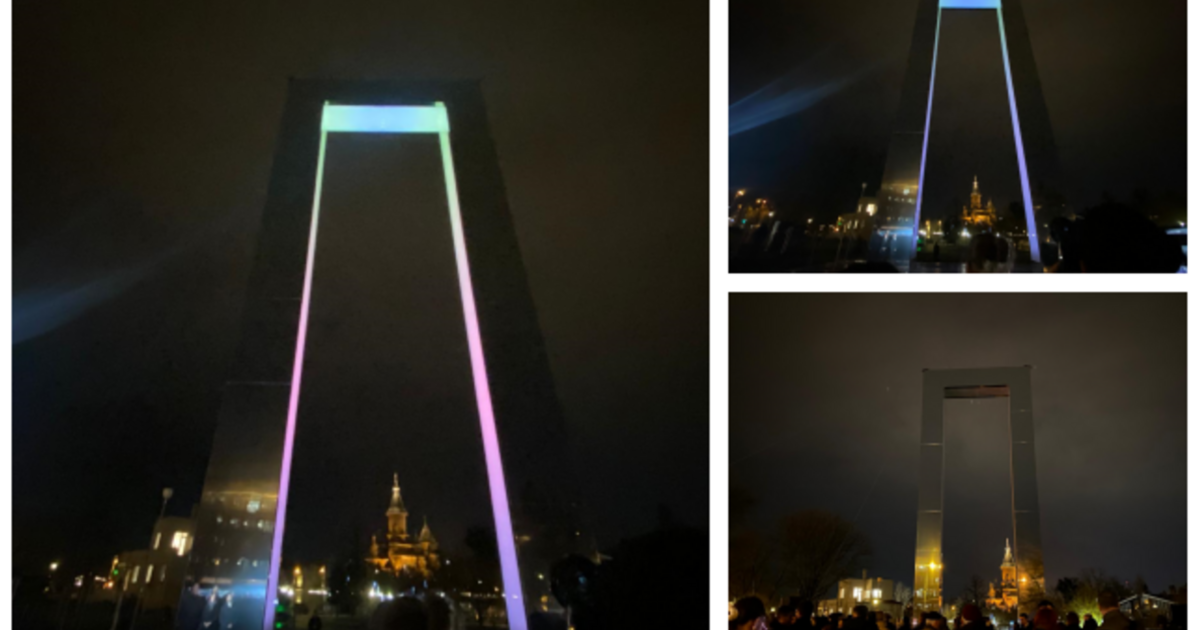 Un portal de 15 metri a fost inaugurat pe malul Begăi, marcând 35 de ani de la Revoluție